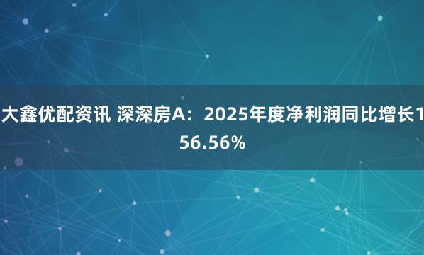 大鑫优配资讯 深深房A：2025年度净利润同比增长156.56%