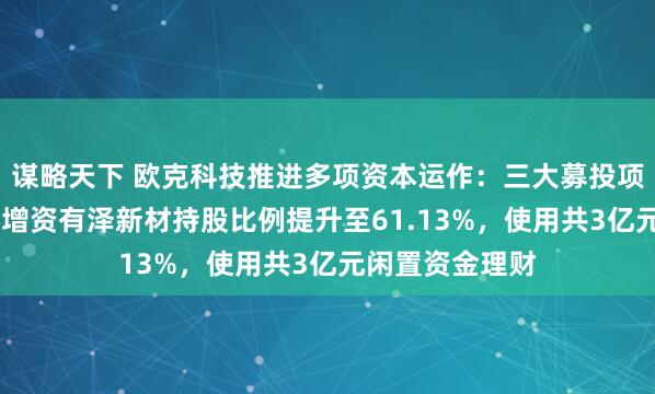 谋略天下 欧克科技推进多项资本运作：三大募投项目延期一年 ，增资有泽新材持股比例提升至61.13%，使用共3亿元闲置资金理财