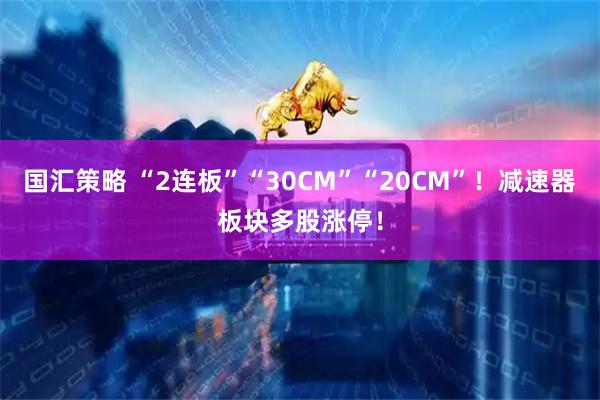 国汇策略 “2连板”“30CM”“20CM”！减速器板块多股涨停！